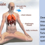 The Benefits of Deep Breathing for Elders: A Path to Better Health