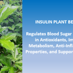 Insulin Plant: A Natural Cure for Diabetes