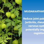 Multiple Medicinal Benefits of Mudakkathan Keerai for Elders