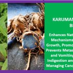 Karumanjal – Top Ranking Cancer Cure:  A Promising Natural Agent